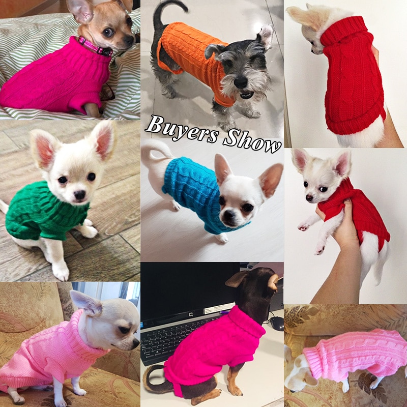 Pet Sweater Knit Winter Outfit