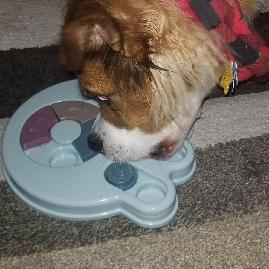 Pet Training Dog Food Puzzle Toy