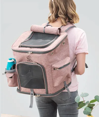 Pet Travel Carrier with Mesh Windows