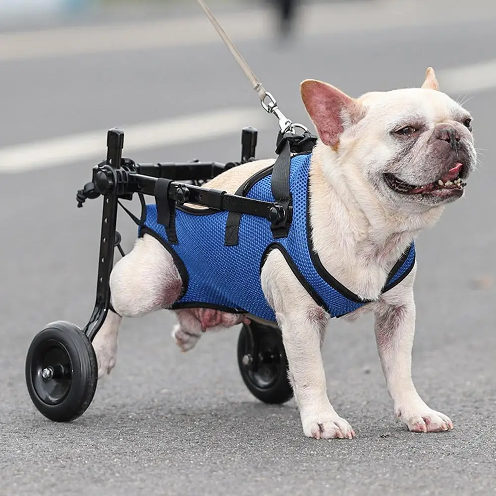 Pet Trolley Adjustable Hind Leg Disabled Pet Dog Mobility Aid Light Rehabilitation Legs Pet Wheelchair Walk Trolley