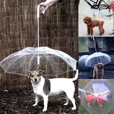 Pet Umbrella with Dog Leash