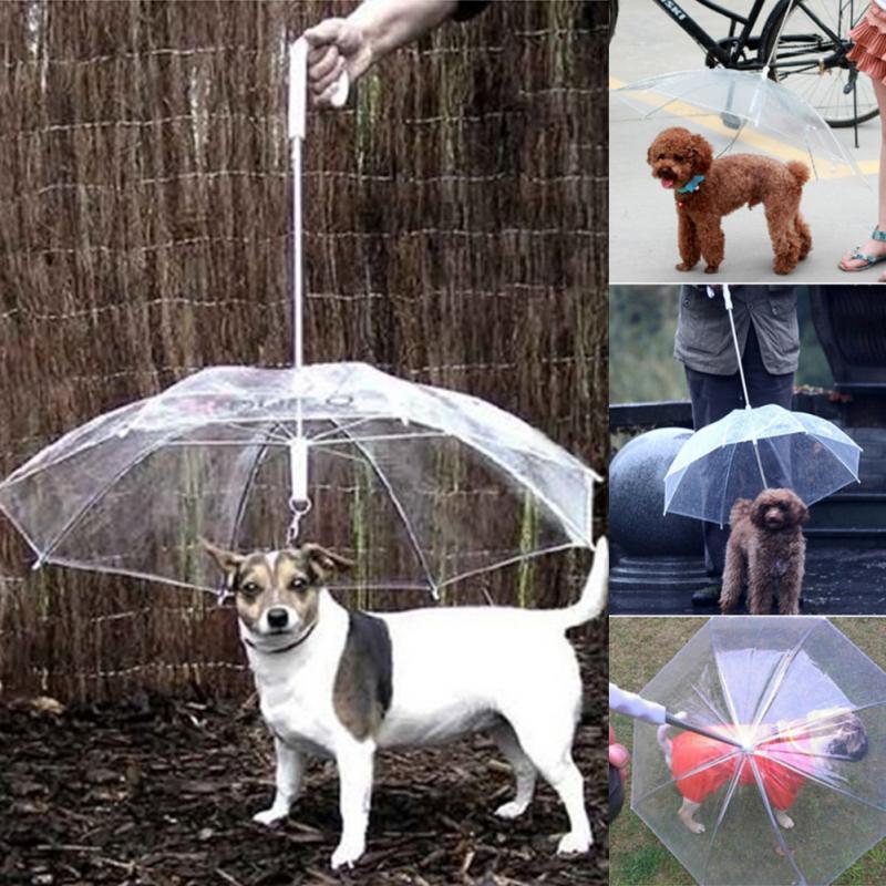 Pet Umbrella with Dog Leash Pet Umbrella with Dog Leash