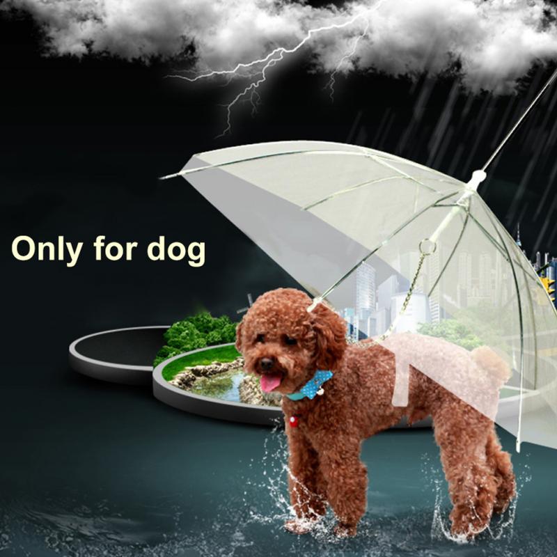 Pet Umbrella with Dog Leash