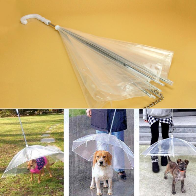 Pet Umbrella with Dog Leash