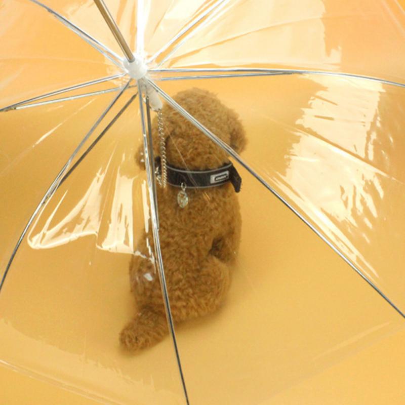 Pet Umbrella with Dog Leash