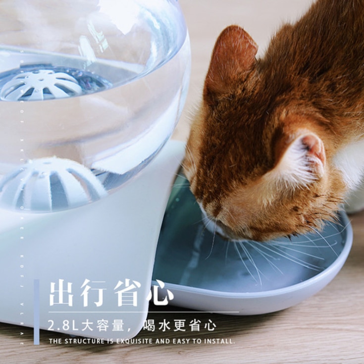 Pet Water Dispenser Automatic Container Pet Water Dispenser Automatic Container