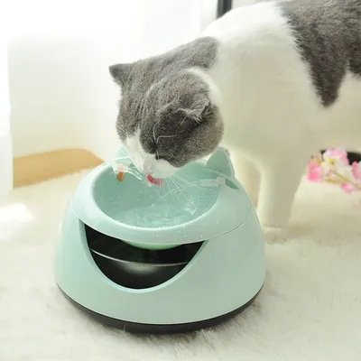 Pet Water Fountain Drinking Bowl Pet Water Fountain Drinking Bowl