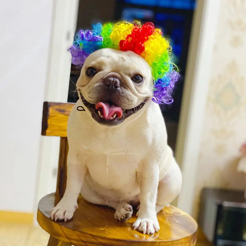 Pet Wigs Cosplay Props Funny Dogs Cats Cross-Dressing Hair Hat Costumes Head Accessories For Halloowen Christmas Pets