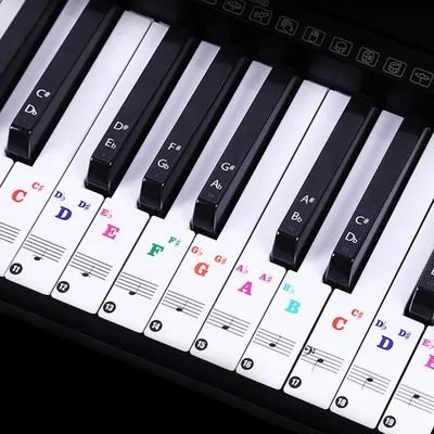 Piano Stickers Training Keyboards Notes Piano Stickers Training Keyboards Notes