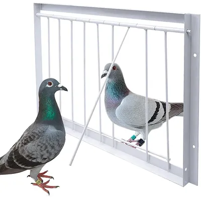 Pigeon Entrance Door Metal Wire Bars Frame Single Entrance Trapping Doors Cage Pigeon Racing Supplies for Bird Cages