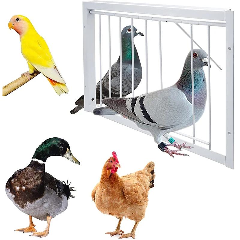 Pigeon Entrance Door Metal Wire Bars Frame Single Entrance Trapping Doors Cage Pigeon Racing Supplies for Bird Cages