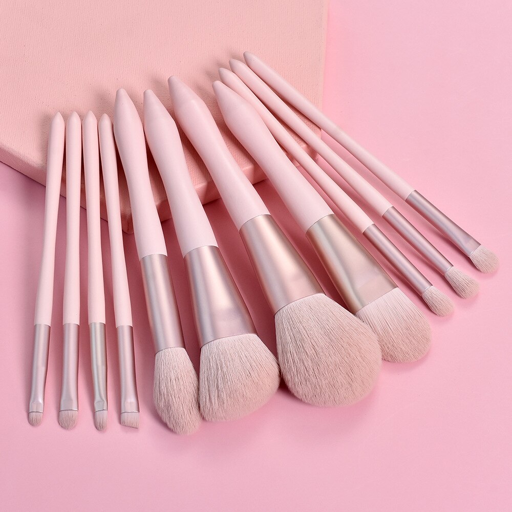 Pink Makeup Brush Set (11 Pcs)