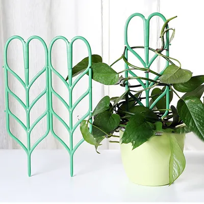 Plant Climber Frames Vine Support (3pcs) Plant Climber Frames Vine Support (3pcs)