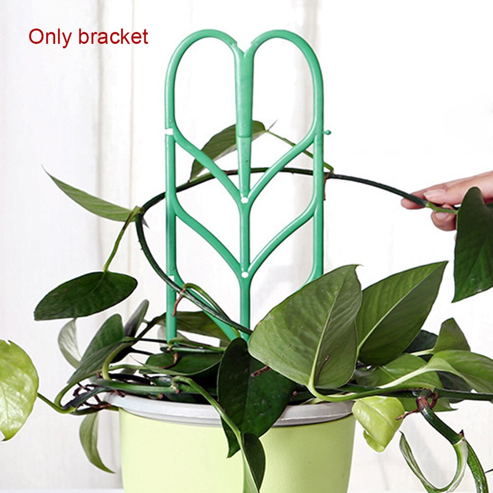 Plant Climber Frames Vine Support (3pcs) Plant Climber Frames Vine Support (3pcs)