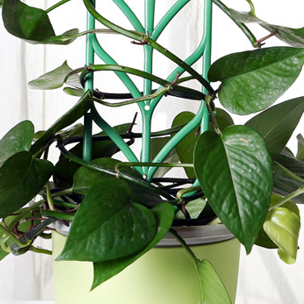 Plant Climber Frames Vine Support (3pcs) Plant Climber Frames Vine Support (3pcs)