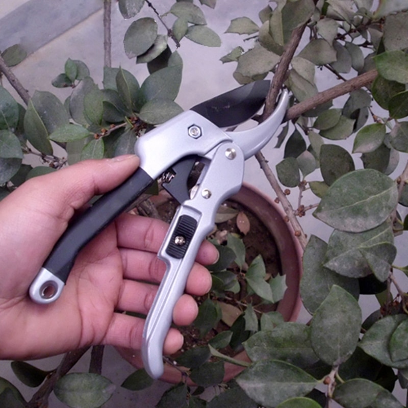 Plant Clipper Garden Pruning Shears Plant Clipper Garden Pruning Shears
