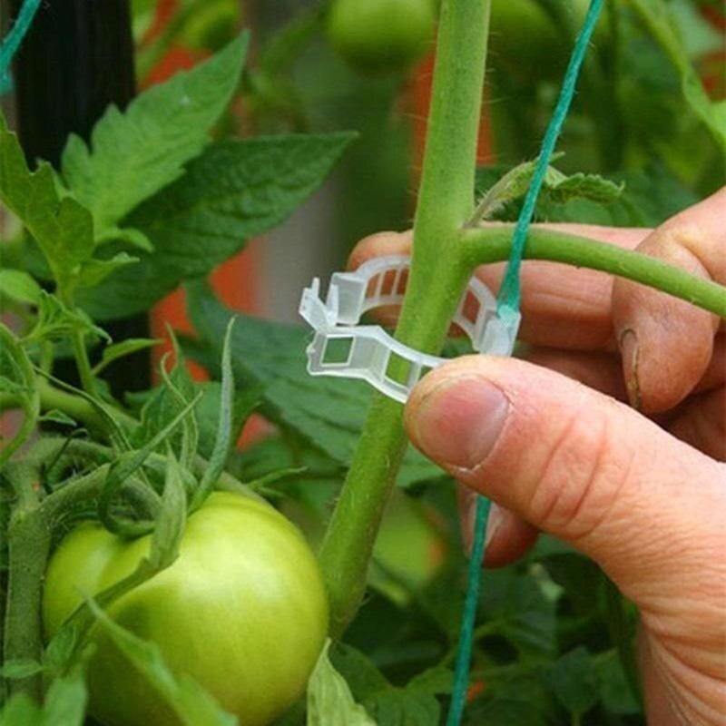 Plant Clips 50PCS Gardening Accessories Plant Clips 50PCS Gardening Accessories