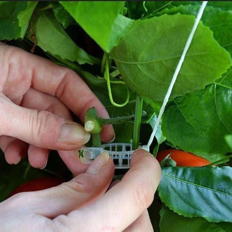 Plant Clips 50PCS Gardening Accessories Plant Clips 50PCS Gardening Accessories