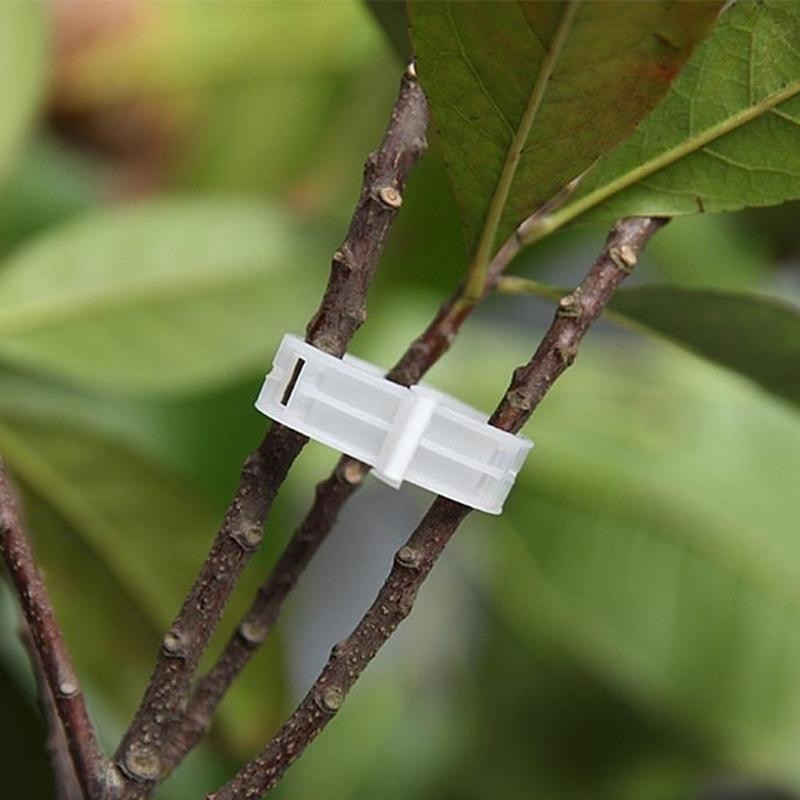 Plant Clips 50PCS Gardening Accessories Plant Clips 50PCS Gardening Accessories