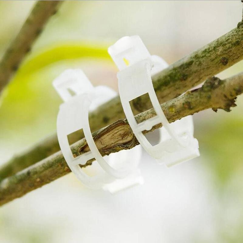 Plant Clips 50PCS Gardening Accessories Plant Clips 50PCS Gardening Accessories