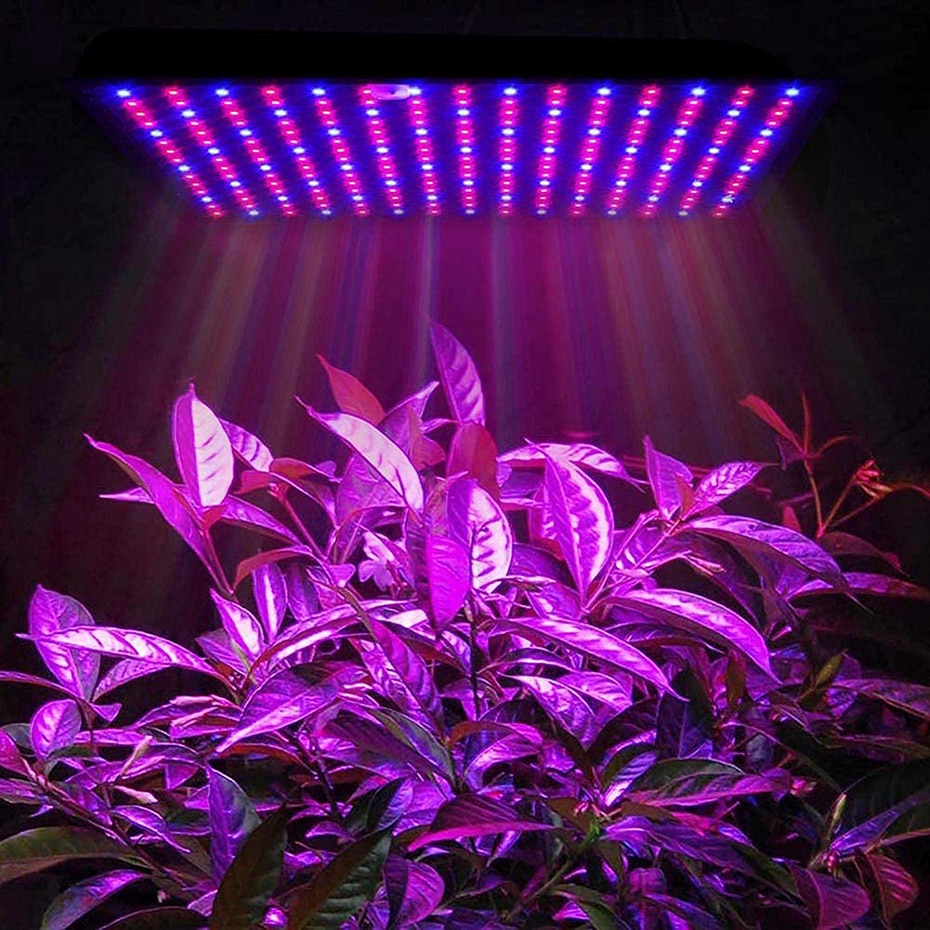 Plant Grow Lamp Full Spectrum Light Plant Grow Lamp Full Spectrum Light