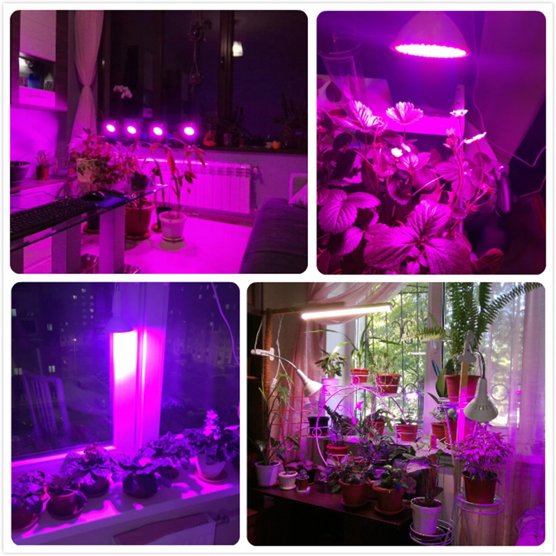 Plant Growing Lights Clip Holder Plant Growing Lights Clip Holder