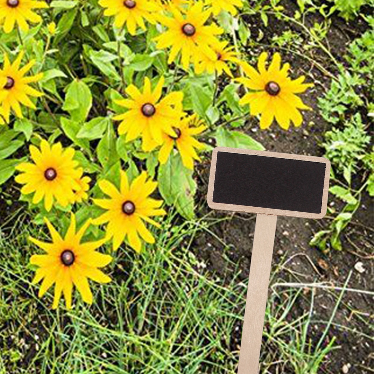 Plant Markers Mini Chalkboard (20 pcs) Plant Markers Mini Chalkboard (20 pcs)