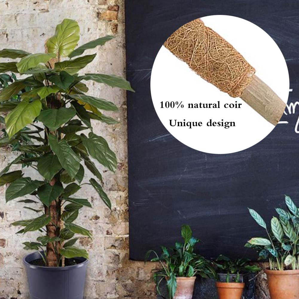 Plant Moss Stick Coco Support Stake Plant Moss Stick Coco Support Stake