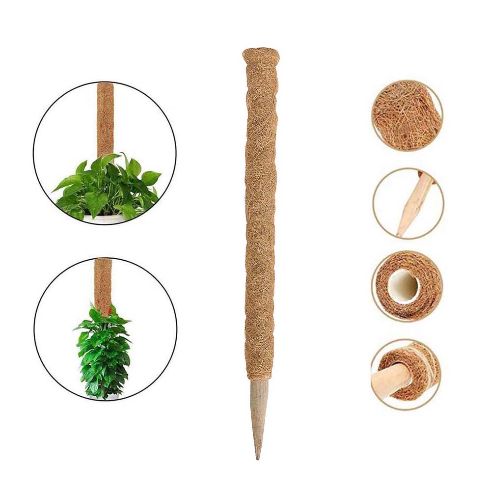 Plant Moss Stick Coco Support Stake Plant Moss Stick Coco Support Stake