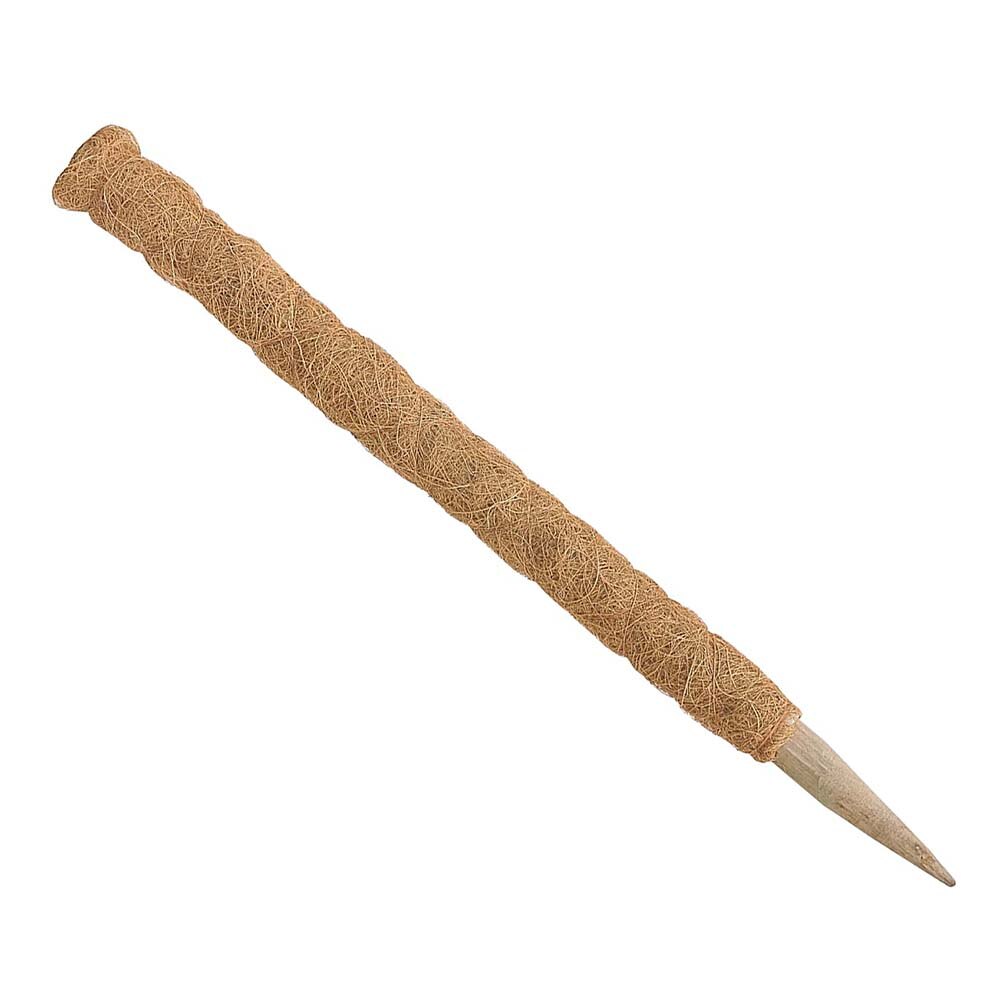 Plant Moss Stick Coco Support Stake Plant Moss Stick Coco Support Stake