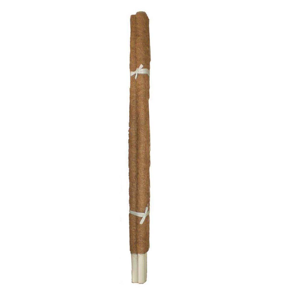 Plant Moss Stick Coco Support Stake Plant Moss Stick Coco Support Stake