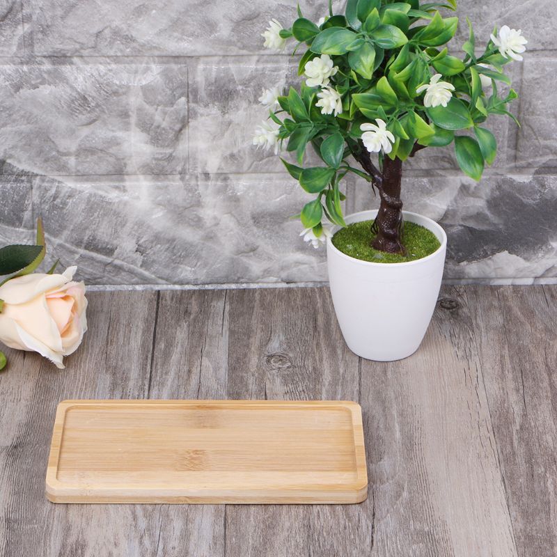 Plant Pot Tray Wooden Saucer Plant Pot Tray Wooden Saucer