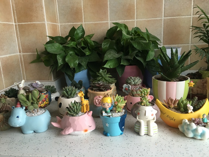 Plant Pots Happy Women Containers Plant Pots Happy Women Containers