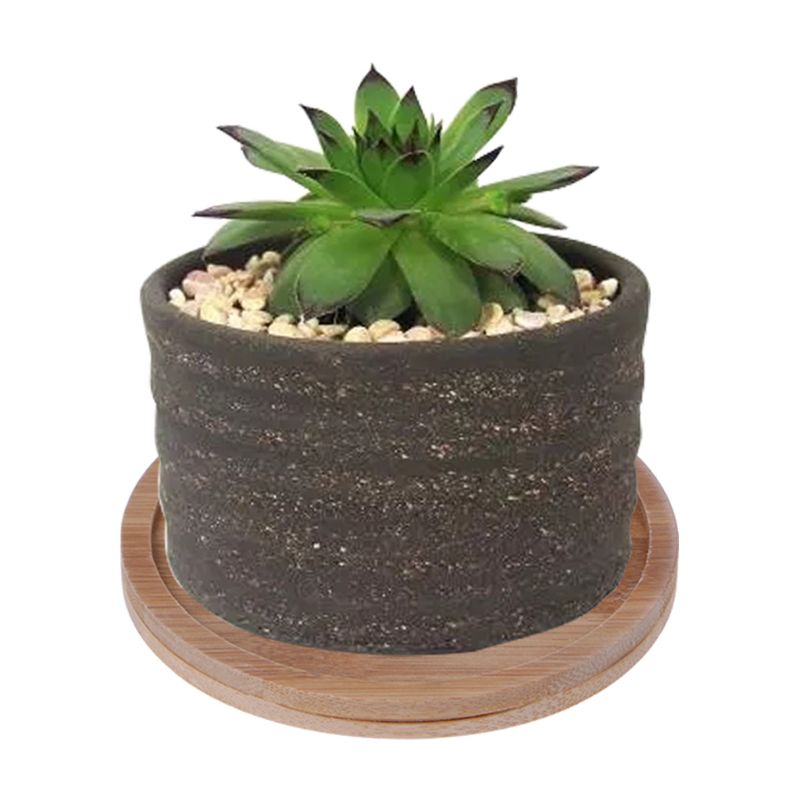 Plant Saucer Bamboo Mini Dish Plant Saucer Bamboo Mini Dish