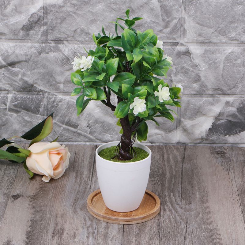 Plant Saucer Bamboo Mini Dish Plant Saucer Bamboo Mini Dish