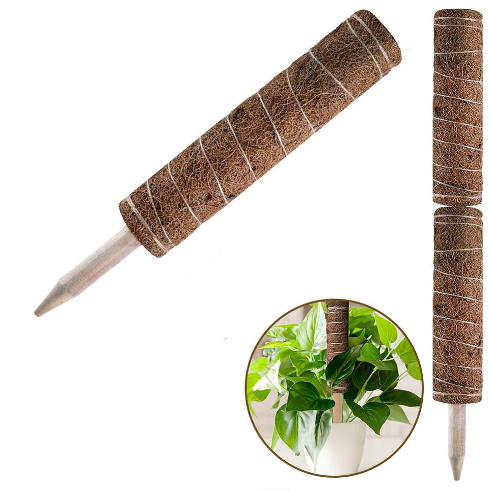 Plant Support Stick Climbing Pole Plant Support Stick Climbing Pole