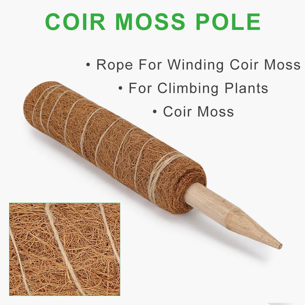 Plant Support Stick Climbing Pole Plant Support Stick Climbing Pole