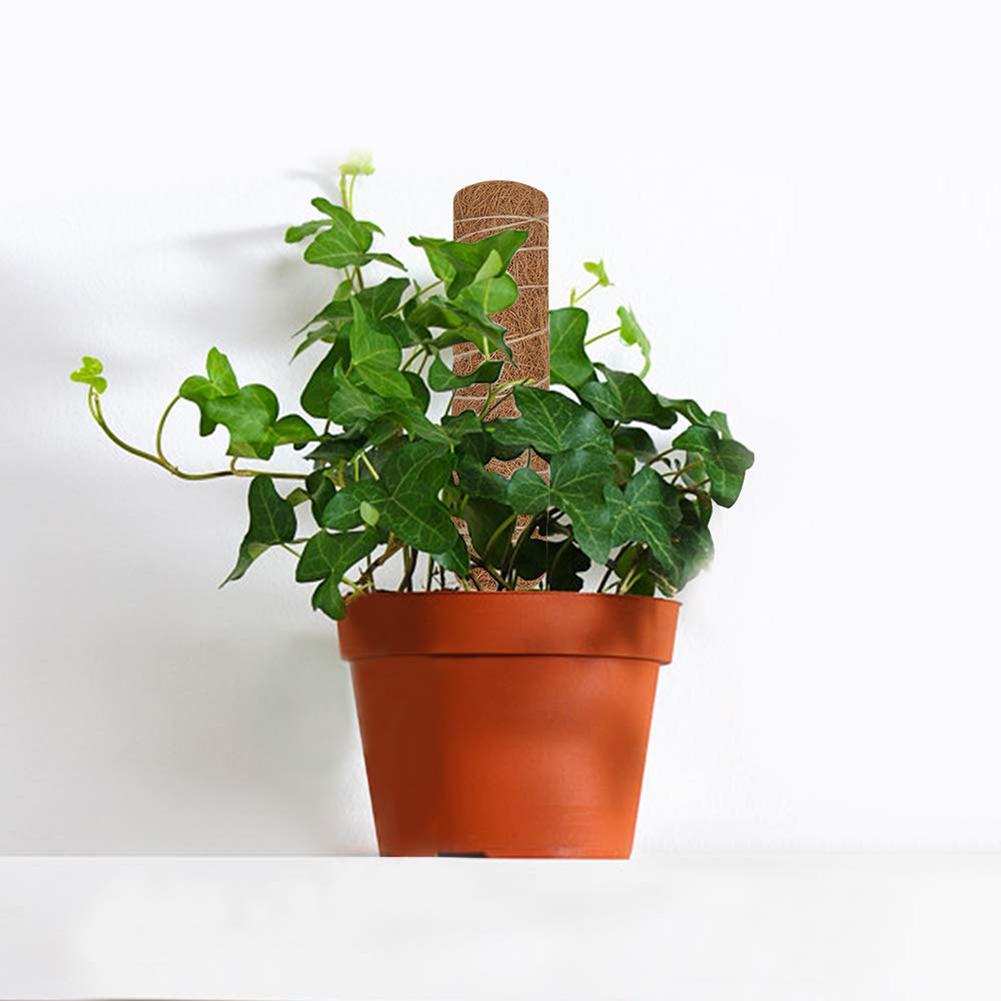 Plant Support Stick Climbing Pole Plant Support Stick Climbing Pole