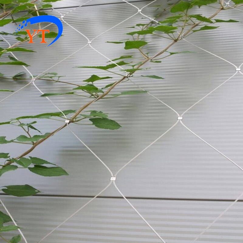 Plant Trellis Stainless Steel Wire Plant Trellis Stainless Steel Wire