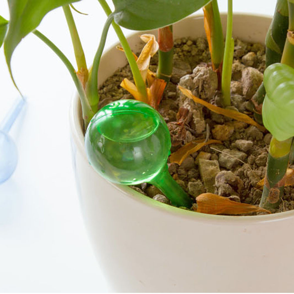 Plant Waterer Automatic Device