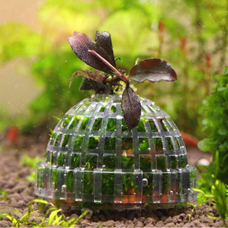 Plastic Aquarium Moss Ball Grower