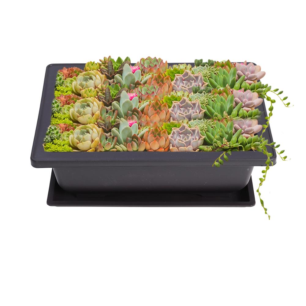 Plastic Bonsai Pots with Trays (10pcs) Plastic Bonsai Pots with Trays (10pcs)