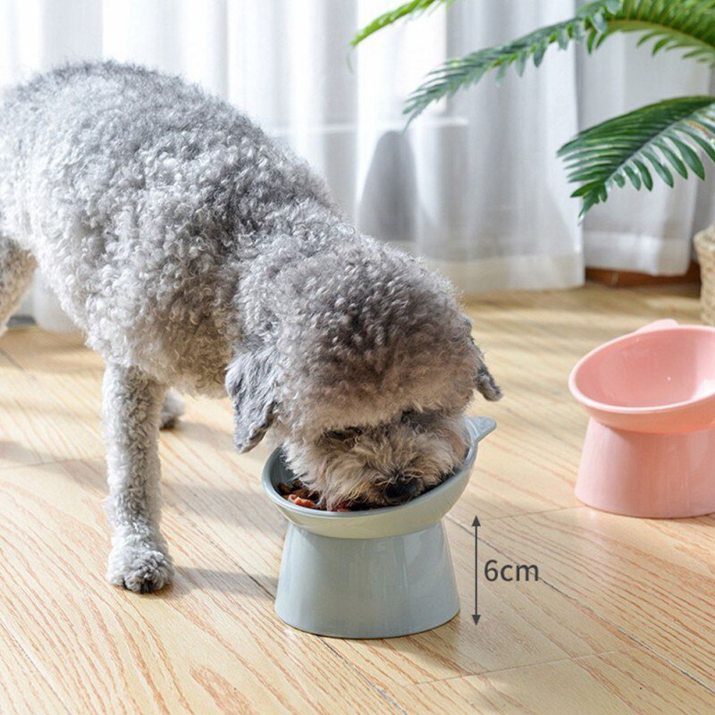 Plastic Elevated Cat Food Bowl Plastic Elevated Cat Food Bowl