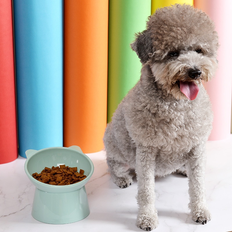 Plastic Elevated Pet Food Bowl Plastic Elevated Pet Food Bowl