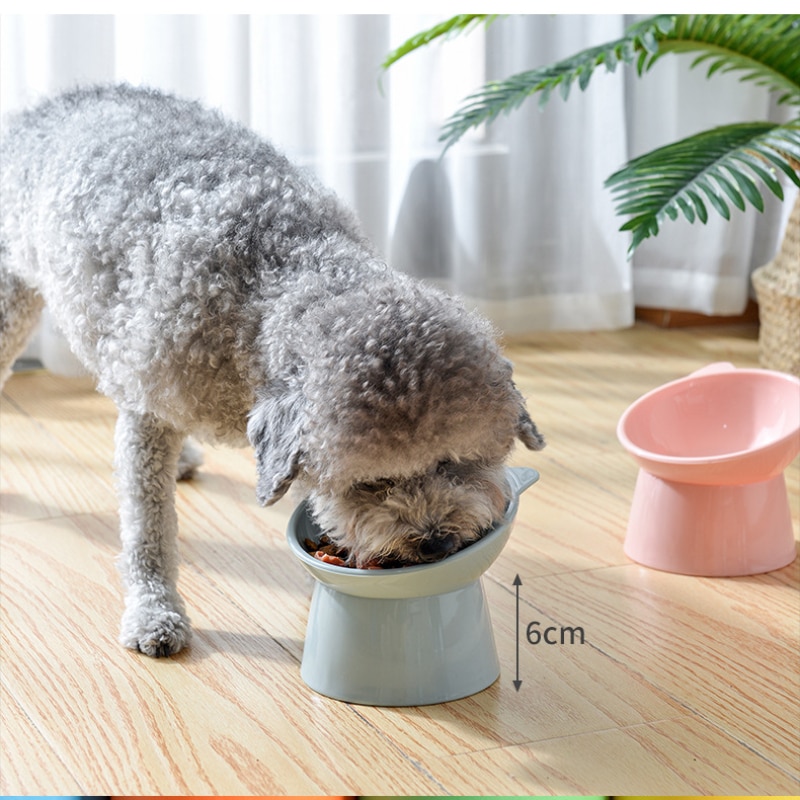 Plastic Elevated Pet Food Bowl Plastic Elevated Pet Food Bowl