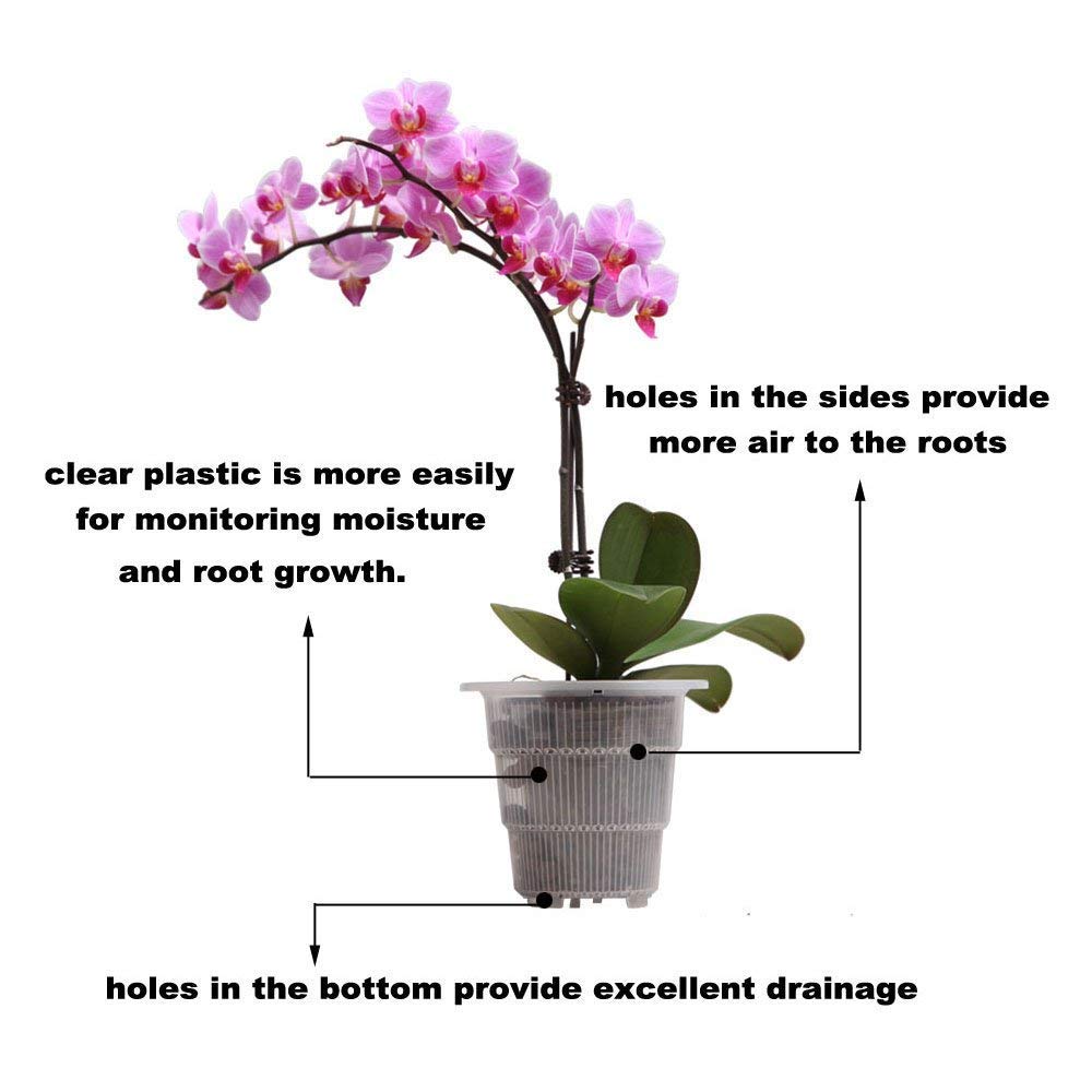 Plastic Mesh Plant Pot Plastic Mesh Plant Pot