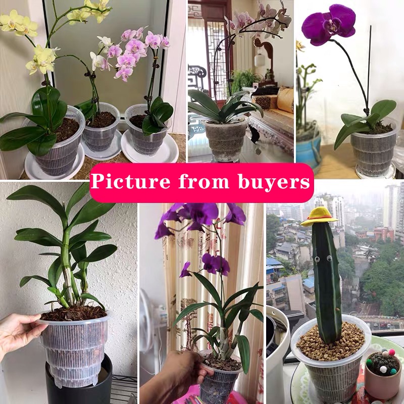 Plastic Mesh Plant Pot Plastic Mesh Plant Pot