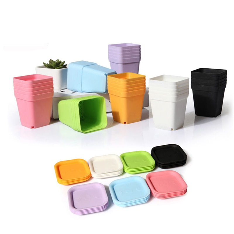 Plastic Mini Succulents Pots (10 Pcs) Plastic Mini Succulents Pots (10 Pcs)