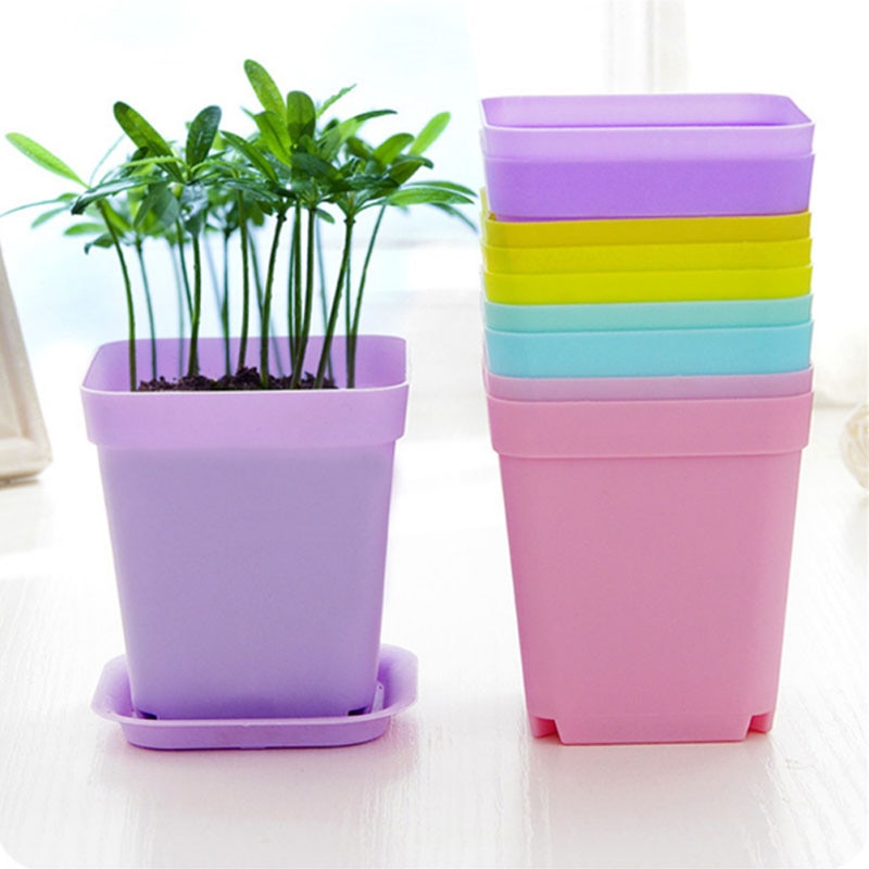 Plastic Mini Succulents Pots (10 Pcs) Plastic Mini Succulents Pots (10 Pcs)