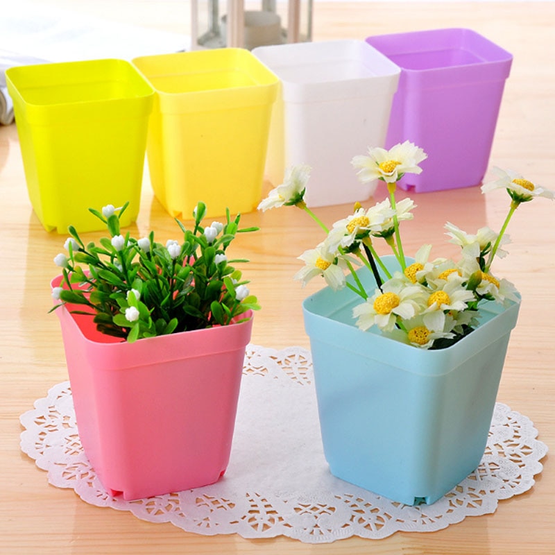 Plastic Mini Succulents Pots (10 Pcs) Plastic Mini Succulents Pots (10 Pcs)